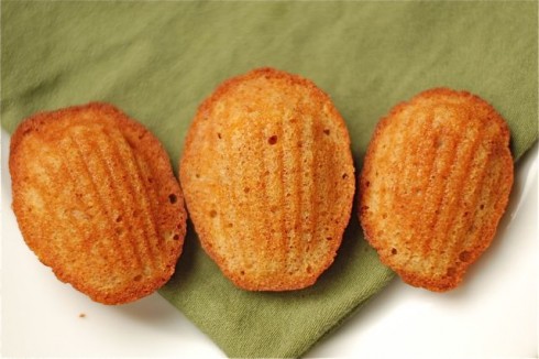 Honey Spiced Madeleines Honey Spiced madeleines