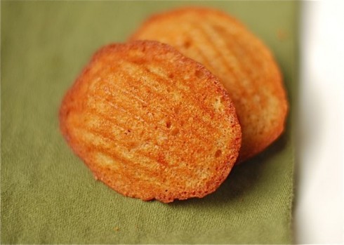 Madeleines Spiced Madeleines
