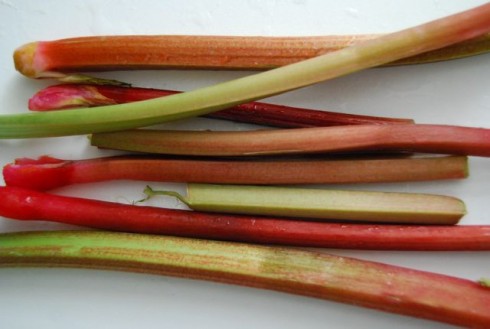 Rhubarb Stalks