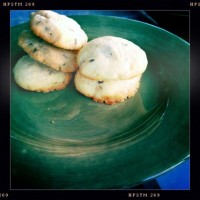 Katie's photo, taken with her iPhone...
