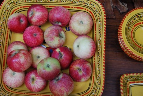 Apples Apples
