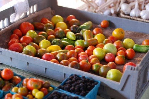 Tomatoes Tomatoes