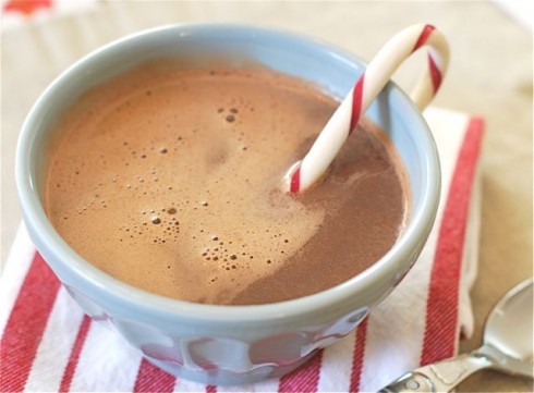 Peppermint Hot Chocolate with Candy Cane via The Naptime Chef